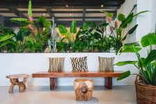 Jardin Tropical Hotel - Canarische Eilanden - Tenerife - 26