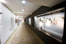 Jacobsberg Hotel- & Golfresort - Duitsland - Boppard - 25