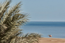 La Maison Bleue El Gouna - Egypte - Hurghada - 51