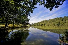 Stoke by Nayland Hotel, Golf &amp; Spa - Engeland - London - 11