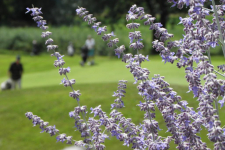 Golf Hôtel Grenoble Charmeil - Frankrijk - Grenoble - 17