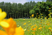 Golf Hôtel Grenoble Charmeil - Frankrijk - Grenoble - 35
