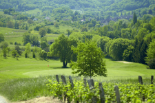 Domaine du Val de Sorne - Frankrijk - Lons-le-Saunier - 26