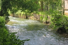 Chateau de Moulin le Comte - 20