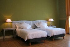 Chateau de Moulin le Comte - 45