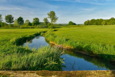 Hôtel Golf Château de Chailly - Frankrijk - Chailly-sur-Armancon - 37