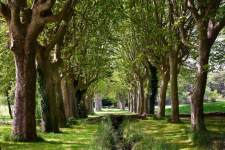 Domaine de Chateauneuf - Frankrijk - Nans les Pins - 03