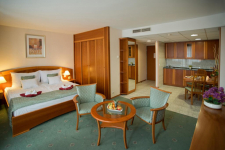 Palace Hotel Héviz - Hongarije - Héviz - 11