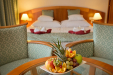 Palace Hotel Héviz - Hongarije - Héviz - 12