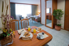 Palace Hotel Héviz - Hongarije - Héviz - 13