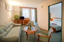 Palace Hotel Héviz - Hongarije - Héviz - 14