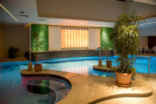 Palace Hotel Héviz - Hongarije - Héviz - 31