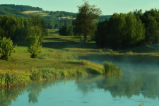 Zala Springs Golf Resort - Hongarije - Zalacsány - 35