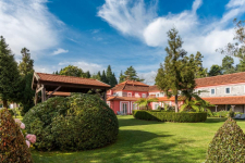 Enotel Golf - Santo da Serra - Madeira - Funchal - 31