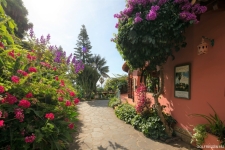 quinta-splendida-madeira-golfreizen-madeira-51