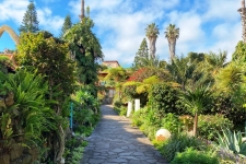 quinta-splendida-madeira-golfreizen-madeira-53