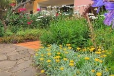 quinta-splendida-madeira-golfreizen-madeira-54