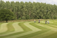 Drentsche Golf Lodge - 32.jpg