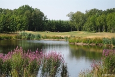 Drentsche Golf Lodge - 41.jpg