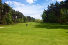 Herkenbosch BurgGolf Golfbaan Roermond - 03.jpg