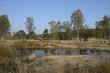 Landgoed Kasteel Daelenbroeck - Nederland - Natuurpark De Meinweg - 20