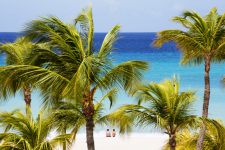 Bucuti & Tara Beach Resort - Nederlandse Antillen - Oranjestad - 39