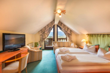 Hotel Zum Jungen Römer - Oostenrijk - Oostenrijkse Alpen - 14