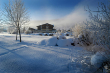 Hotel Zum Jungen Römer - Oostenrijk - Oostenrijkse Alpen - 20