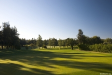 alto-golf-course-01