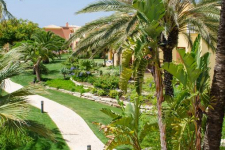 Jardim Da Meia Praia - Portugal - Algarve - 08