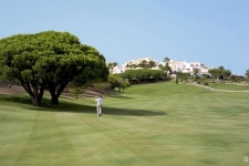 parque-da-floresta-golf-resort-76