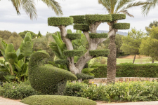 Marriott's Son Antem Golf Resort & Spa - Spanje - Mallorca - 33