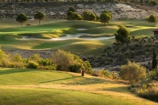 Melia Villaitana Golf Hotel & Resort - 85.jpg