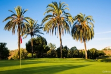 Los Monteros Spa & Golf Resort - 81.jpg