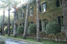 Hotel Milenio - Spanje - Elche - 08