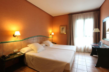 Hotel Milenio - Spanje - Elche - 40
