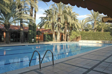 Hotel Milenio - Spanje - Elche - 43
