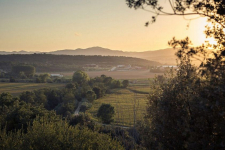 Castell d’Empordà - Spanje - La Bisbal d’Empordà - 08