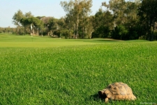 sirene-belek-golf-hotel-antalya-golf-club_06