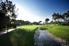 montgomerie-maxx-royal-golf-course-08-hole-8