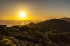 Alkira Lodge - Zuid-Afrika - Knysna - 09