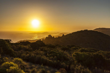 Alkira Lodge - Zuid-Afrika - Knysna - 09