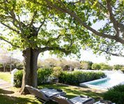 Steenberg Hotel - Zuid-Afrika - West-Kaap - 50