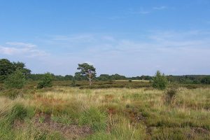 Golfreizen Noord-Vlaanderen