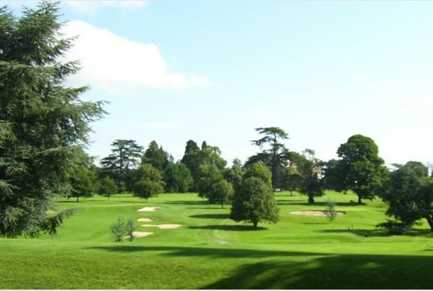 Manor of Groves Golf